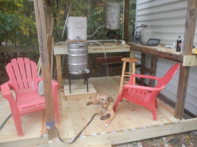 Picture of My brew-to and and brewing assistant (dog)